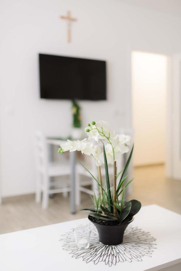Ruza Apartmani Zadar Exteriör bild